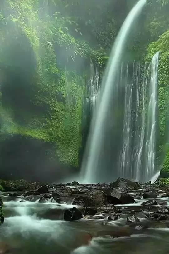 《英雄联盟》s赛皮肤选择要求一览