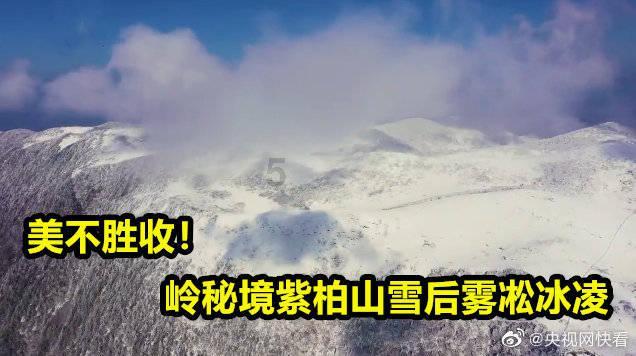水果甜心经典版