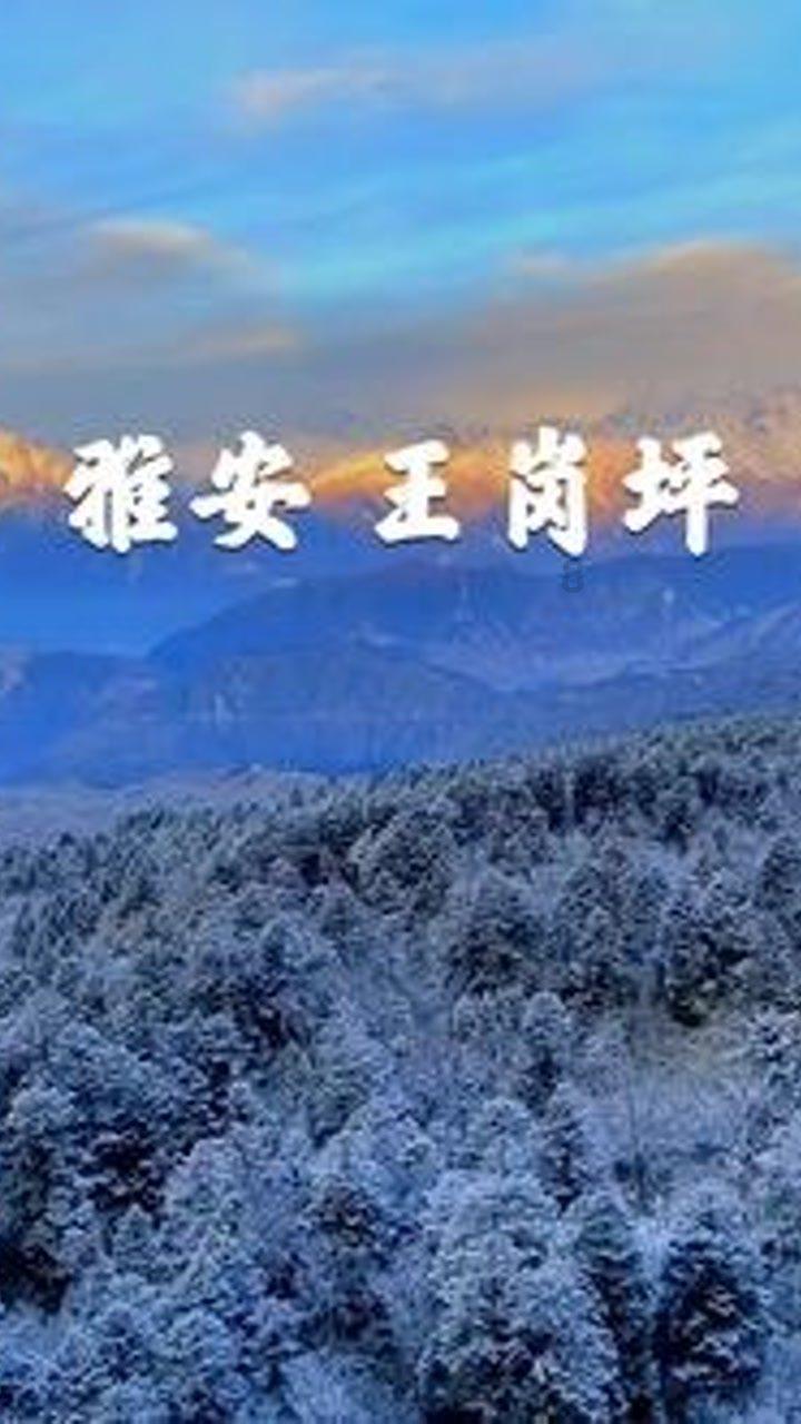救援卡通小象