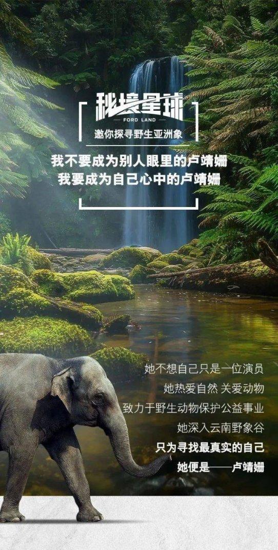 金币放置