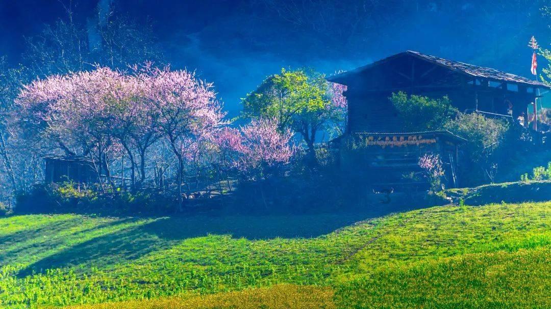 逃出漂浮的小岛