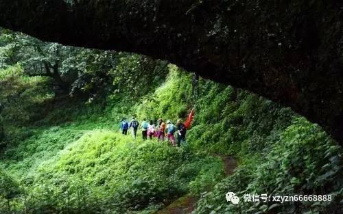 《另一种果实》讲述平凡却又不平庸的故事 探索人生更多可能
