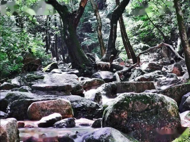 尼尔机械纪元