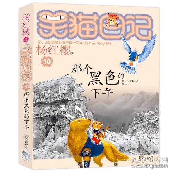 冲浪骑士