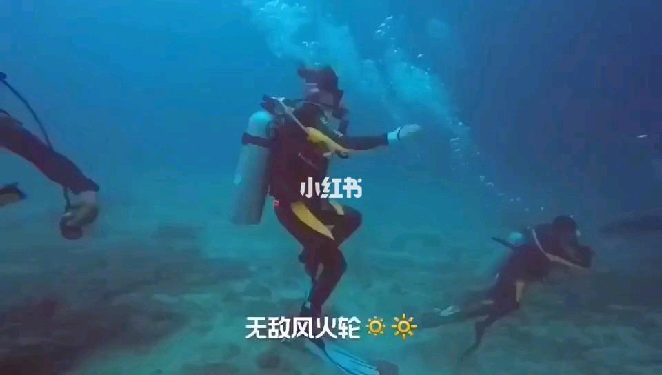 诚心“承意” 透明便利——承德海关着力打造“承意办”政务公开品牌