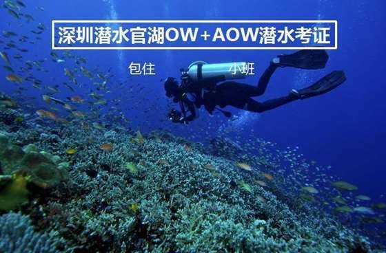 苹果正努力为下一代iPhone搭载更加强大的本地人工智能技术