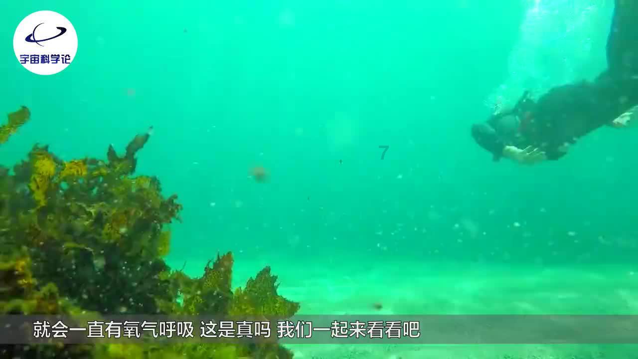 惠普星Book Pro 14 AI轻薄战力本重磅发布