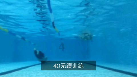 太阁立志传5