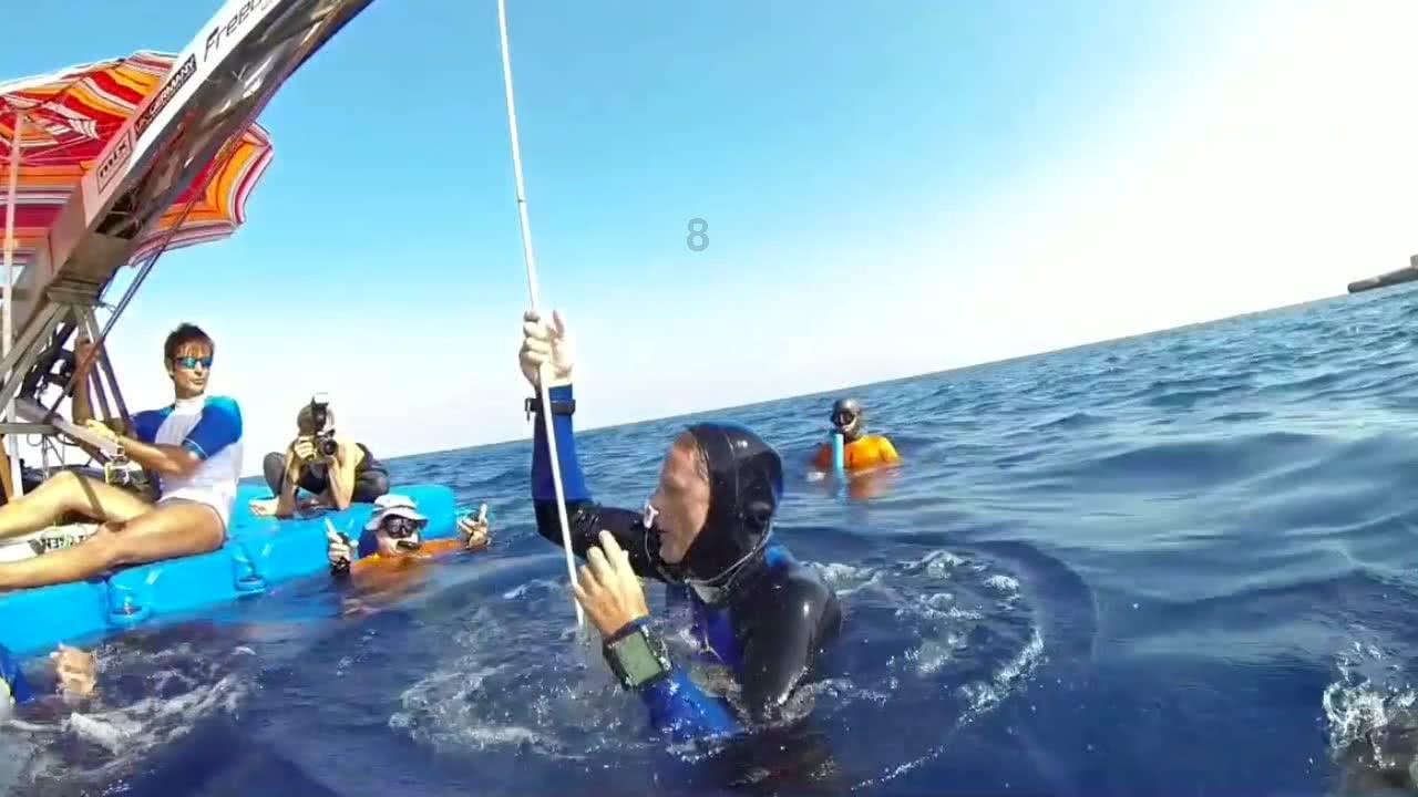 小猫钓鱼游戏龙王版有船