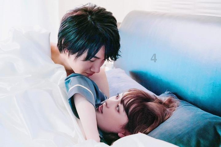 小长颈鹿逃离