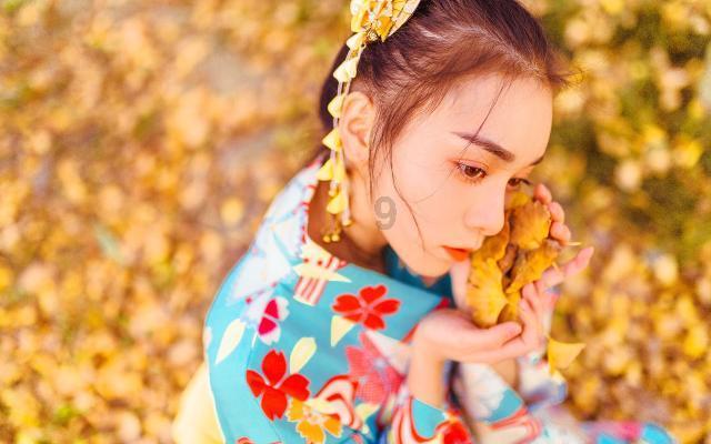 苏菲亚安伯时装秀