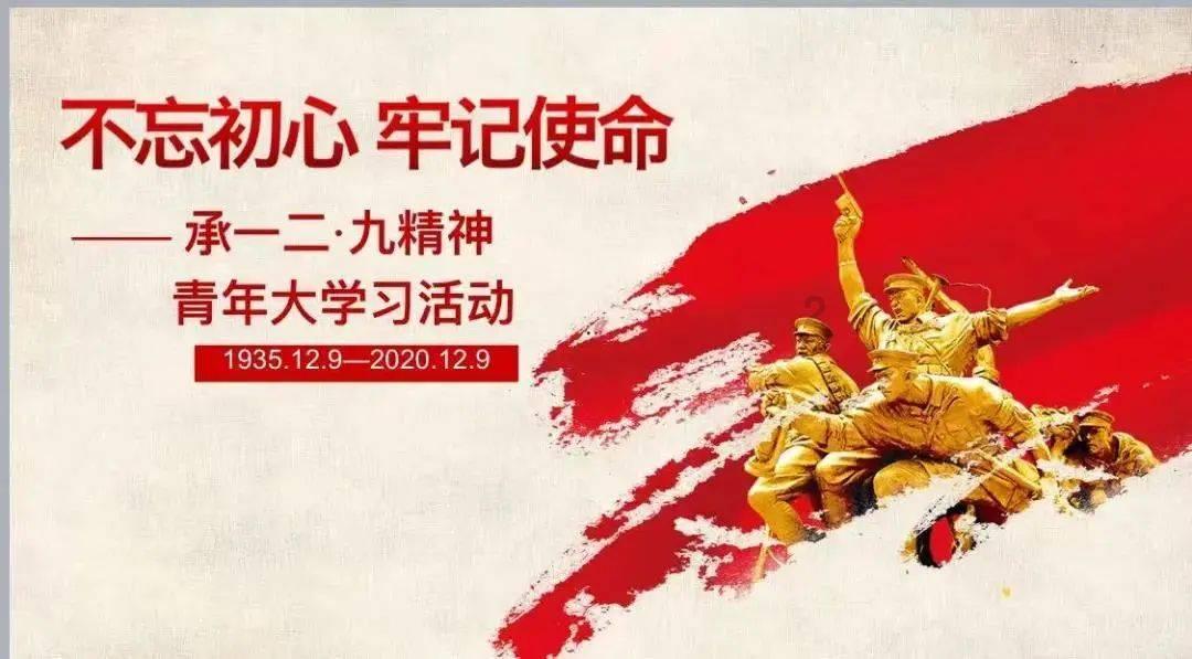 虎胆熊威3