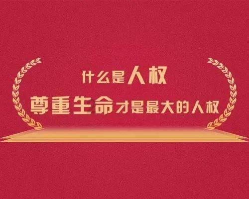 森麒麟：预计2023年度净利润同比增长62%~77%