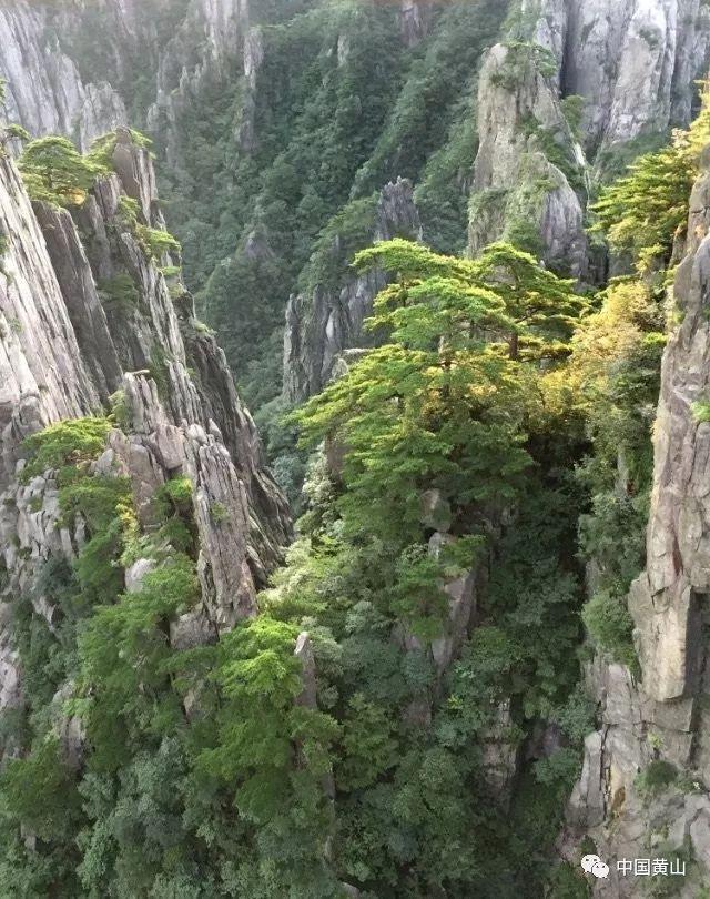星际殖民2