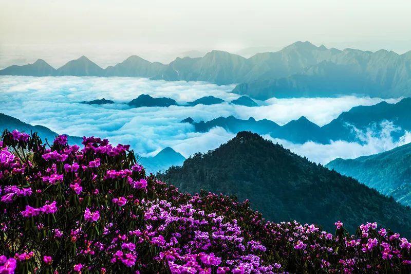 溶解氧监测方案