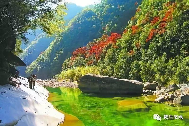 虫虫助手下载