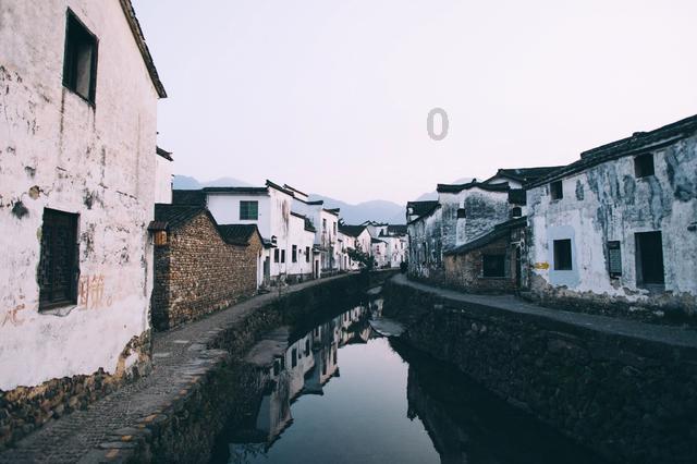 忍者鲨鱼