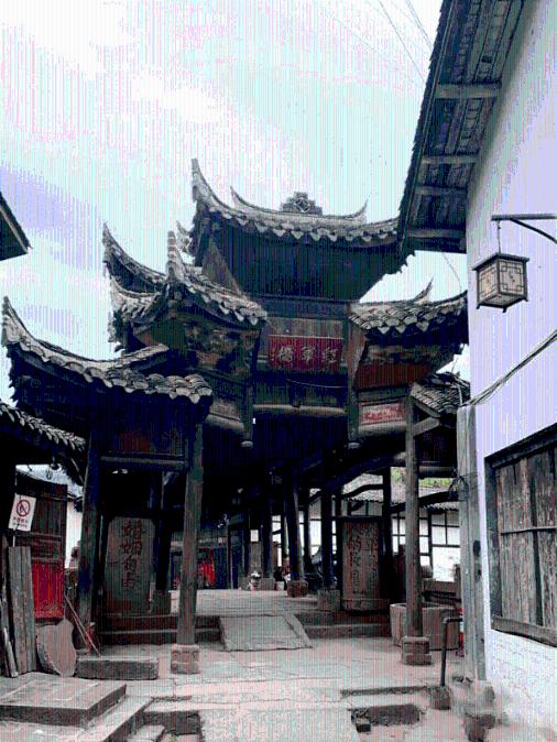 探索知识星球平台 | 单位工作餐吃到青虫是否要维权?你怎么看?的专业知识分享