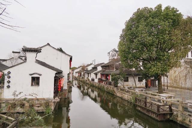 奇妙香蕉之旅