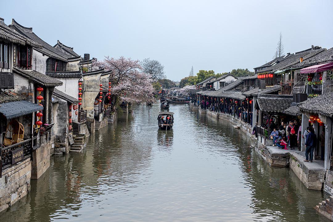 狗狗失去一只眼睛会不开心吗？游戏画面