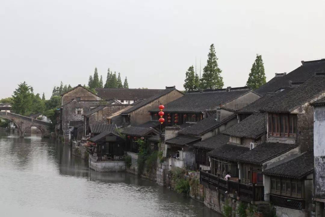 逃出林中村