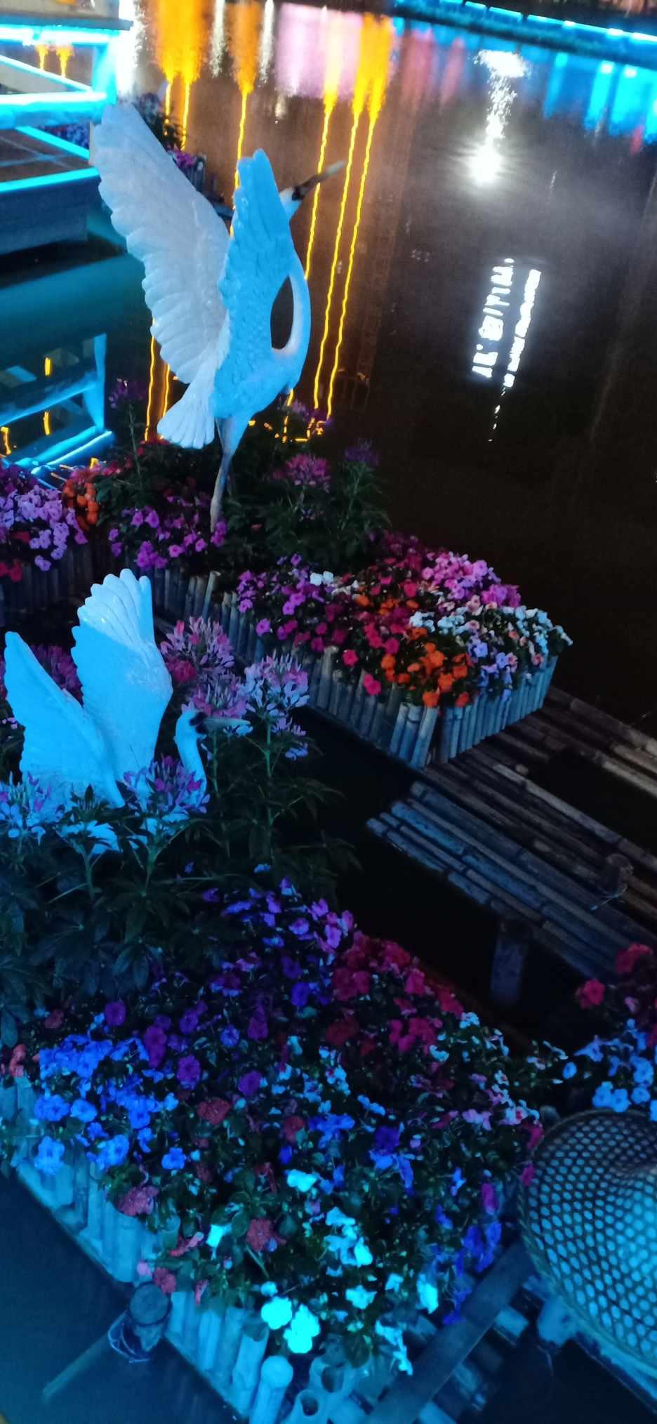 燃烧吧大脑装瓶子游戏